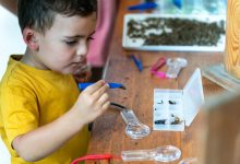 Little explorers discovering big wonders moments of curiosity, learning, and joy at the Bee Festival.