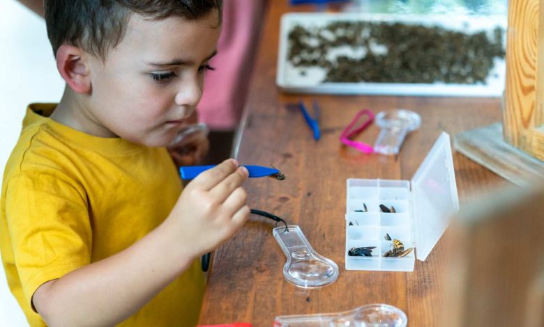 Little explorers discovering big wonders moments of curiosity, learning, and joy at the Bee Festival.