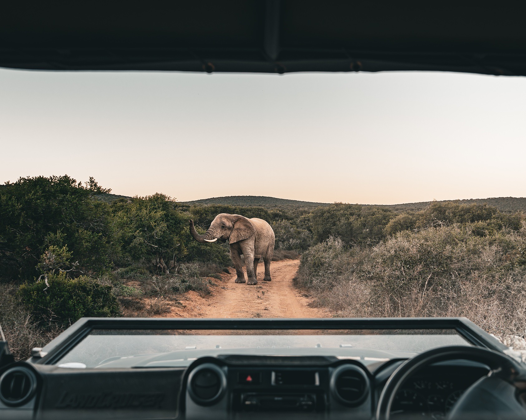 محمية إنفي أدو الخاصة