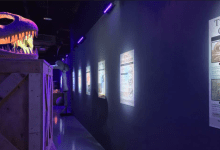 Dino_Banner_2880x1620 2