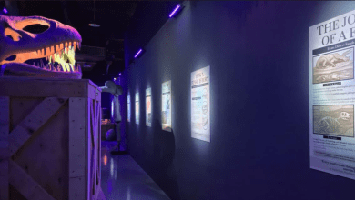 Dino_Banner_2880x1620 2