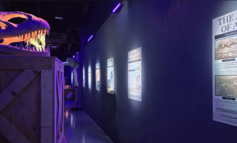 Dino_Banner_2880x1620 2