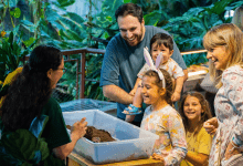 Easter at The Green Planet™ Dubai_image (1)