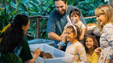 Easter at The Green Planet™ Dubai_image (1)