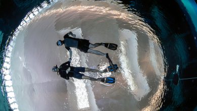 ديب دايف دبي