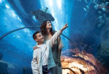 فنادق العنوان