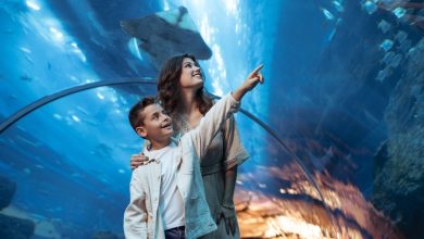 فنادق العنوان