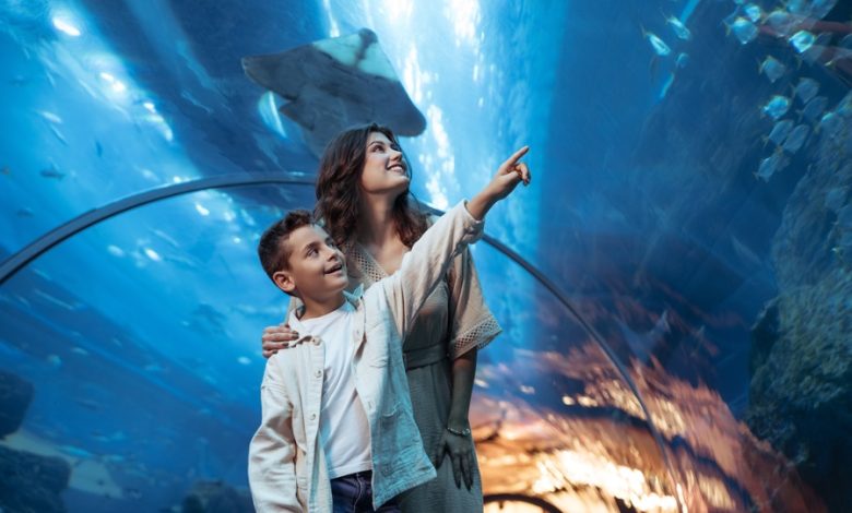 فنادق العنوان