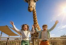 Dubai Safari Park Wild Offers