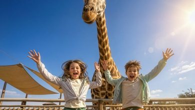 Dubai Safari Park Wild Offers