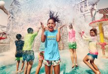 YI Summer Camp 1