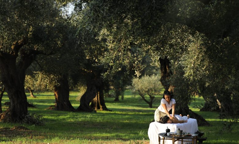 Anazoe Olive Grove Experience (1)