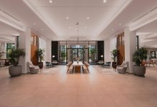 تيرتل باي