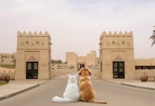 قصر السراب