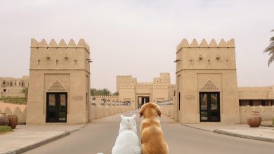قصر السراب