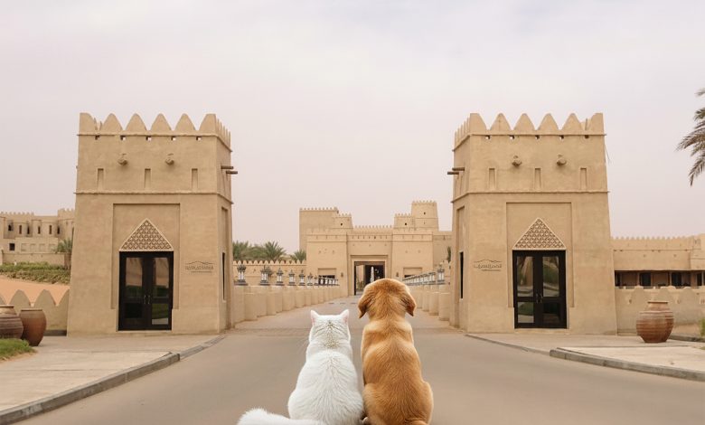 قصر السراب
